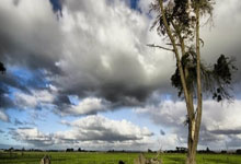 手机上赌足球的软件有哪些风险？该如何远离？